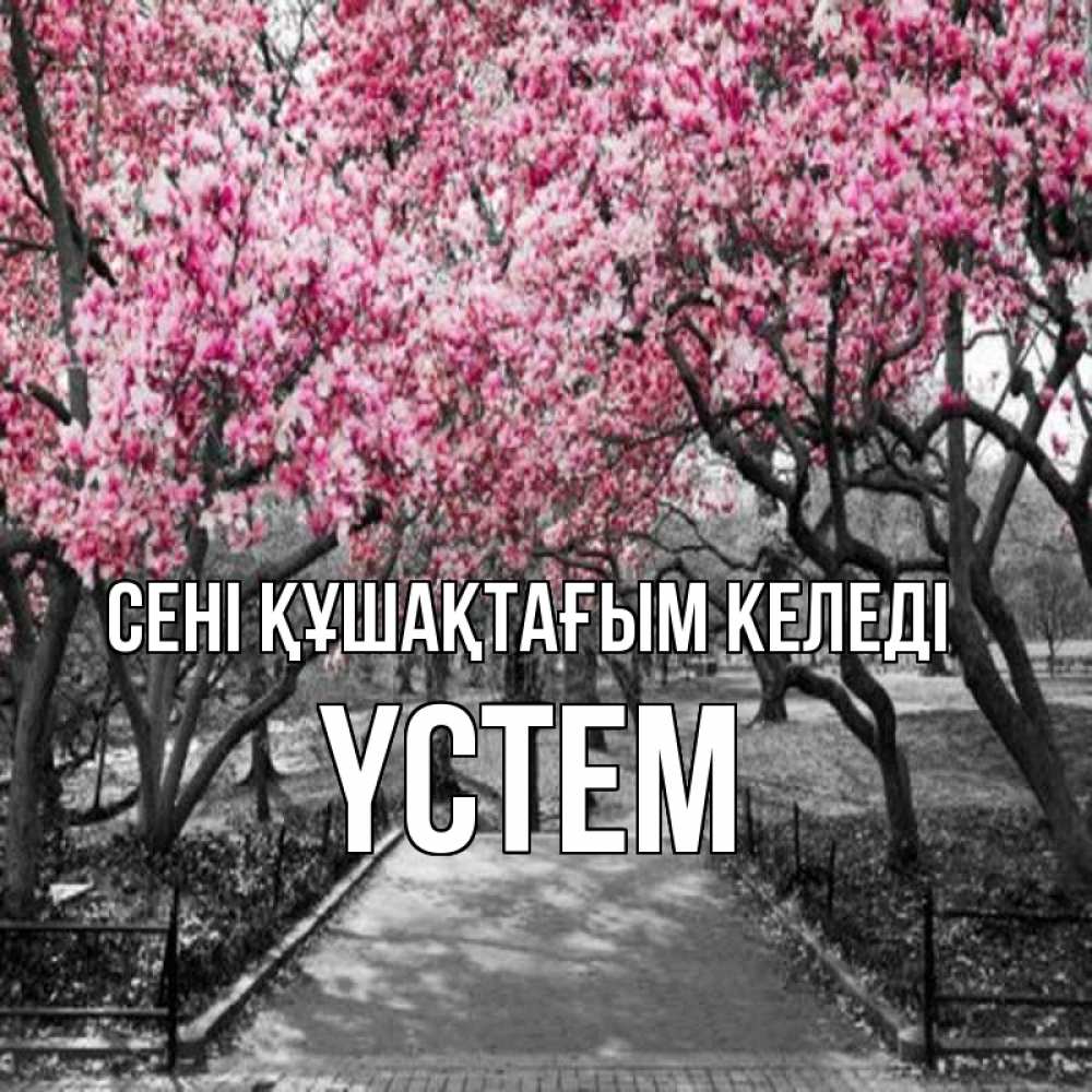 Күн сайын ашық хат с именем, ҮСТЕМ сені құшақтағым келеді обработанное фото Онлайн тегін жүктеп алу тілектері бар керемет карта 