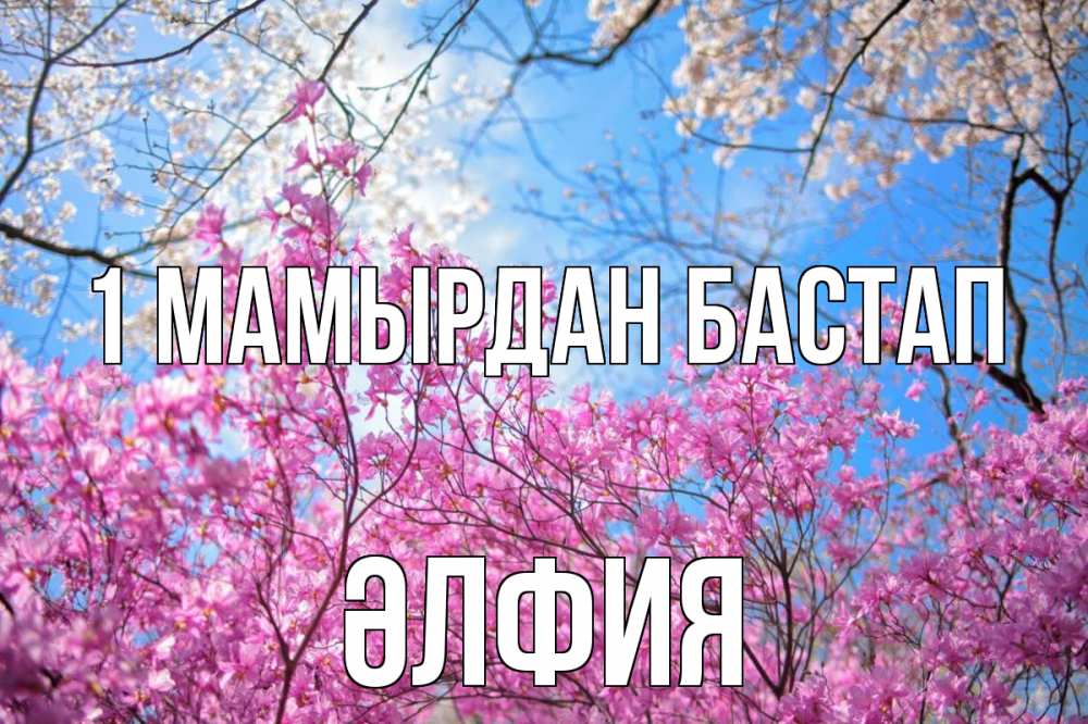 Күн сайын ашық хат с именем, ӘЛФИЯ 1 мамырдан бастап С 1 мая Онлайн тегін жүктеп алу тілектері бар керемет карта 