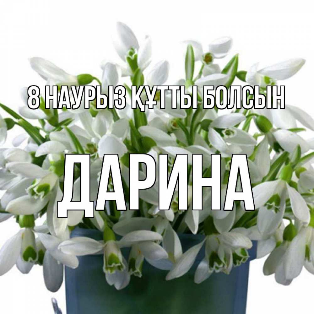 Күн сайын ашық хат с именем, Дарина 8 наурыз құтты болсын цветы к международному женскому дню Онлайн тегін жүктеп алу тілектері бар керемет карта 