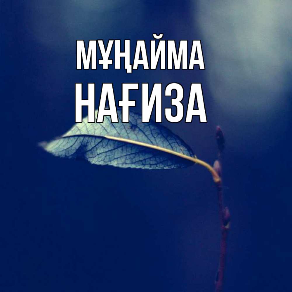 Күн сайын ашық хат с именем, НАҒИЗА Мұңайма растение Онлайн тегін жүктеп алу тілектері бар керемет карта 