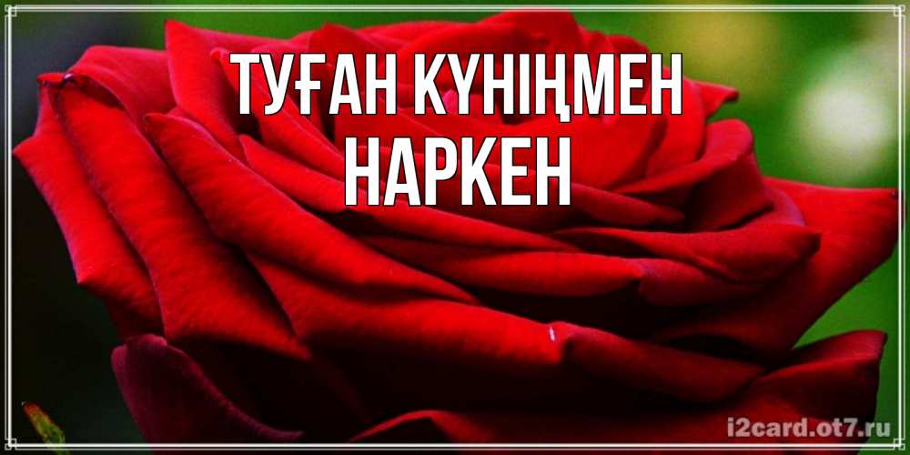 Күн сайын ашық хат с именем, Наркен Туған күніңмен розочка очень красивая Онлайн тегін жүктеп алу тілектері бар керемет карта 