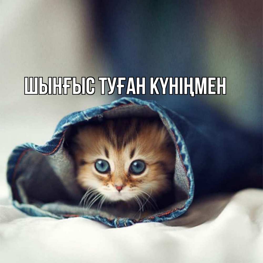 Картинка  с именем , ШЫНҒЫС! ТУҒАН КҮНІҢМЕН!