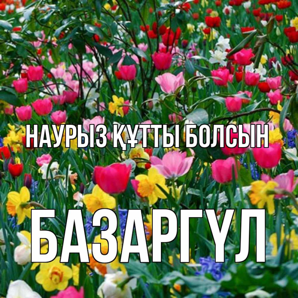 Күн сайын ашық хат с именем, БАЗАРГҮЛ Наурыз құтты болсын с наурызом поздравления для женщины Онлайн тегін жүктеп алу тілектері бар керемет карта 