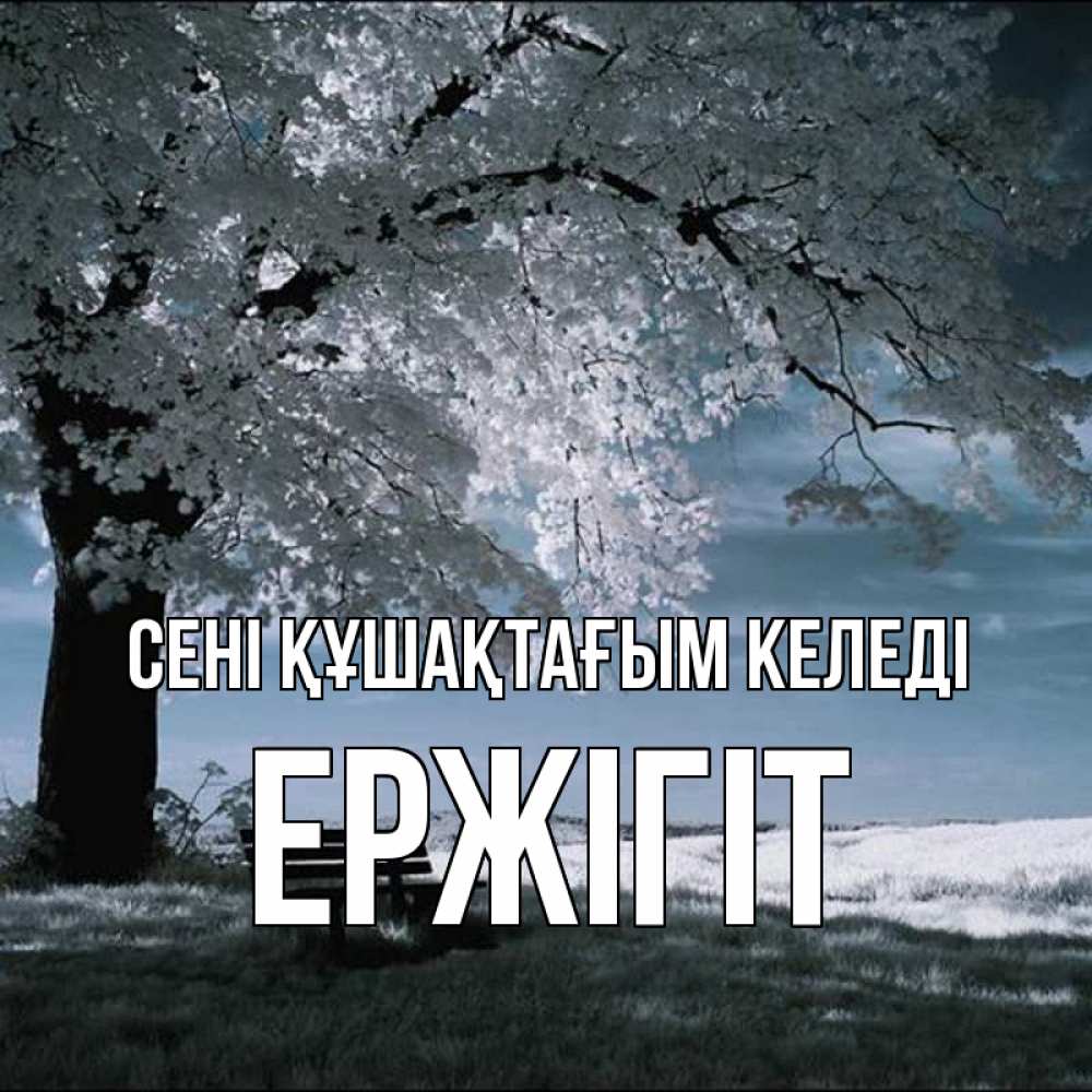 Күн сайын ашық хат с именем, Ержігіт сені құшақтағым келеді дерево Онлайн тегін жүктеп алу тілектері бар керемет карта 