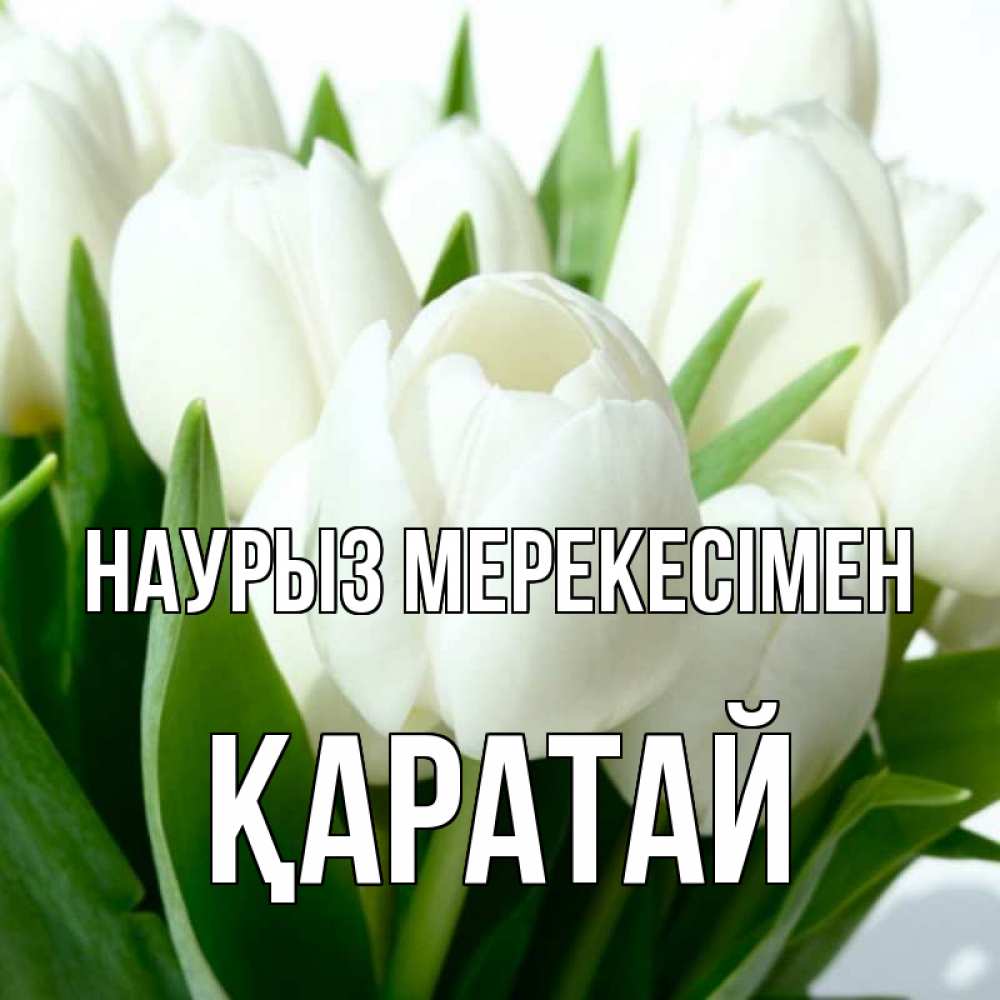 Күн сайын ашық хат с именем, Қаратай Наурыз мерекесімен цветы Онлайн тегін жүктеп алу тілектері бар керемет карта 