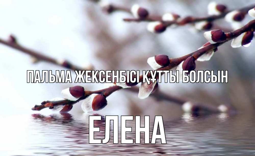 Картинка Пальма жексенбісі құтты болсын, Елена