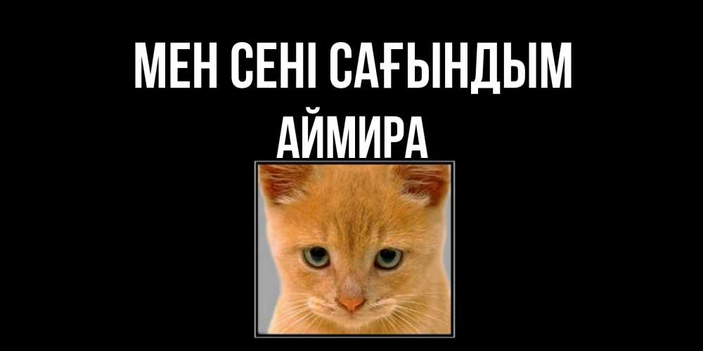 Күн сайын ашық хат с именем, АЙМИРА Мен сені сағындым открытки рыжий котенок скучает по тебе Онлайн тегін жүктеп алу тілектері бар керемет карта 