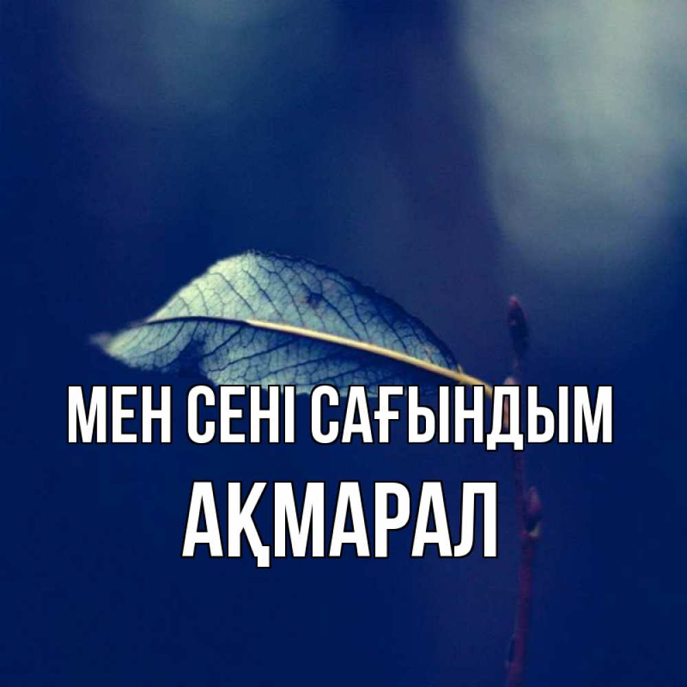 Күн сайын ашық хат с именем, АҚМАРАЛ Мен сені сағындым одна ветка 1 Онлайн тегін жүктеп алу тілектері бар керемет карта 