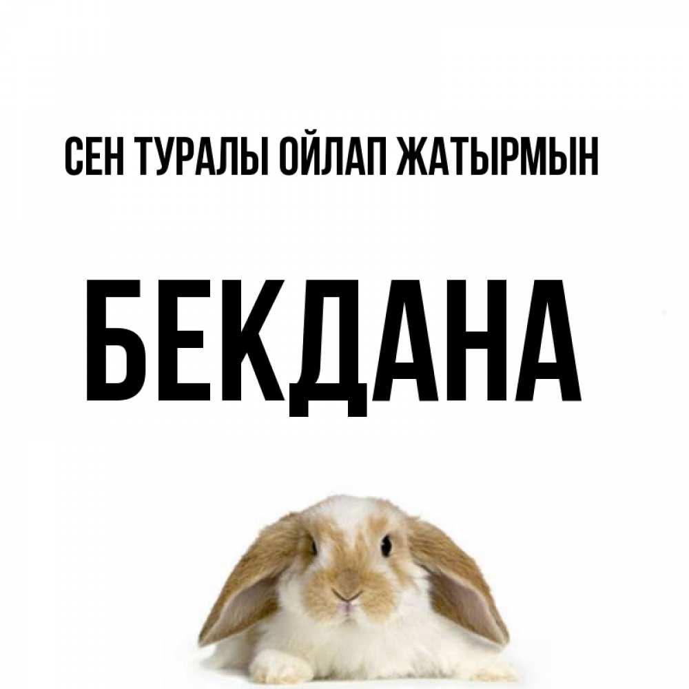 Күн сайын ашық хат с именем, БЕКДАНА Сен туралы ойлап жатырмын подписать своими руками онлайн Онлайн тегін жүктеп алу тілектері бар керемет карта 