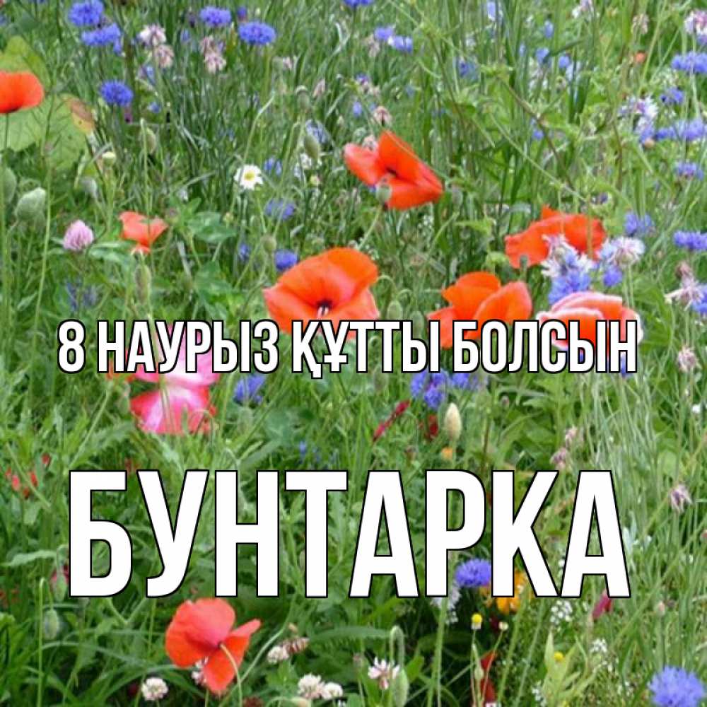 Күн сайын ашық хат с именем, Бунтарка 8 наурыз құтты болсын международный женский день 4 Онлайн тегін жүктеп алу тілектері бар керемет карта 