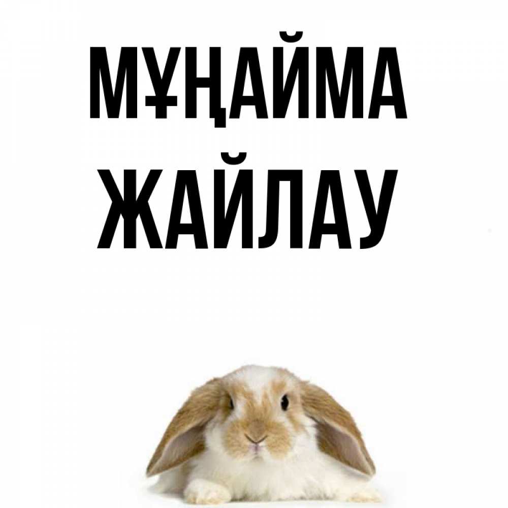 Күн сайын ашық хат с именем, Жайлау Мұңайма коричнево белый заяц с большими ушками Онлайн тегін жүктеп алу тілектері бар керемет карта 