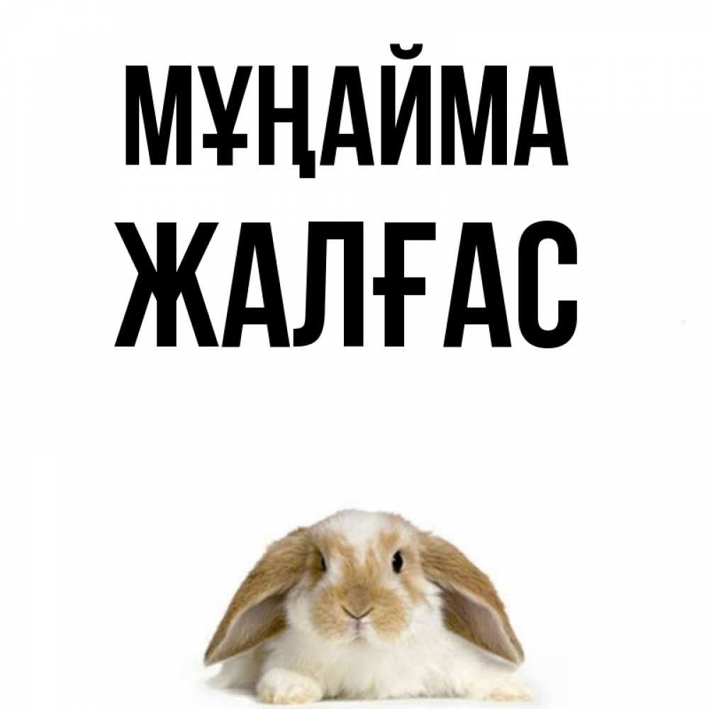Күн сайын ашық хат с именем, Жалғас Мұңайма коричнево белый заяц с большими ушками Онлайн тегін жүктеп алу тілектері бар керемет карта 