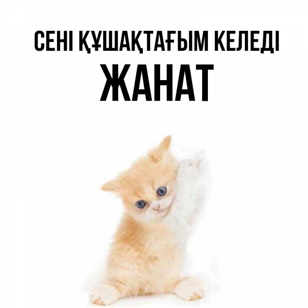 Күн сайын ашық хат с именем, Жанат сені құшақтағым келеді я хочу очень скорее обнимаешек Онлайн тегін жүктеп алу тілектері бар керемет карта 