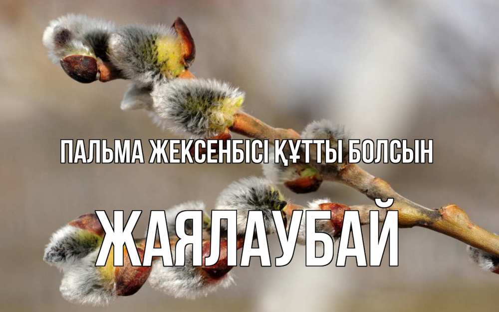 Күн сайын ашық хат с именем, Жаялаубай Пальма жексенбісі құтты болсын Верба Онлайн тегін жүктеп алу тілектері бар керемет карта 
