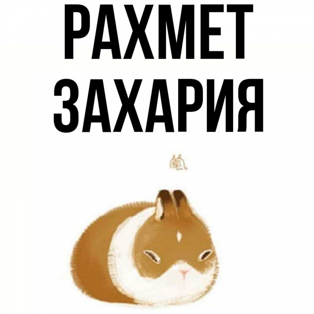 Күн сайын ашық хат с именем, Захария рахмет коричнево белый домашний питомец Онлайн тегін жүктеп алу тілектері бар керемет карта 