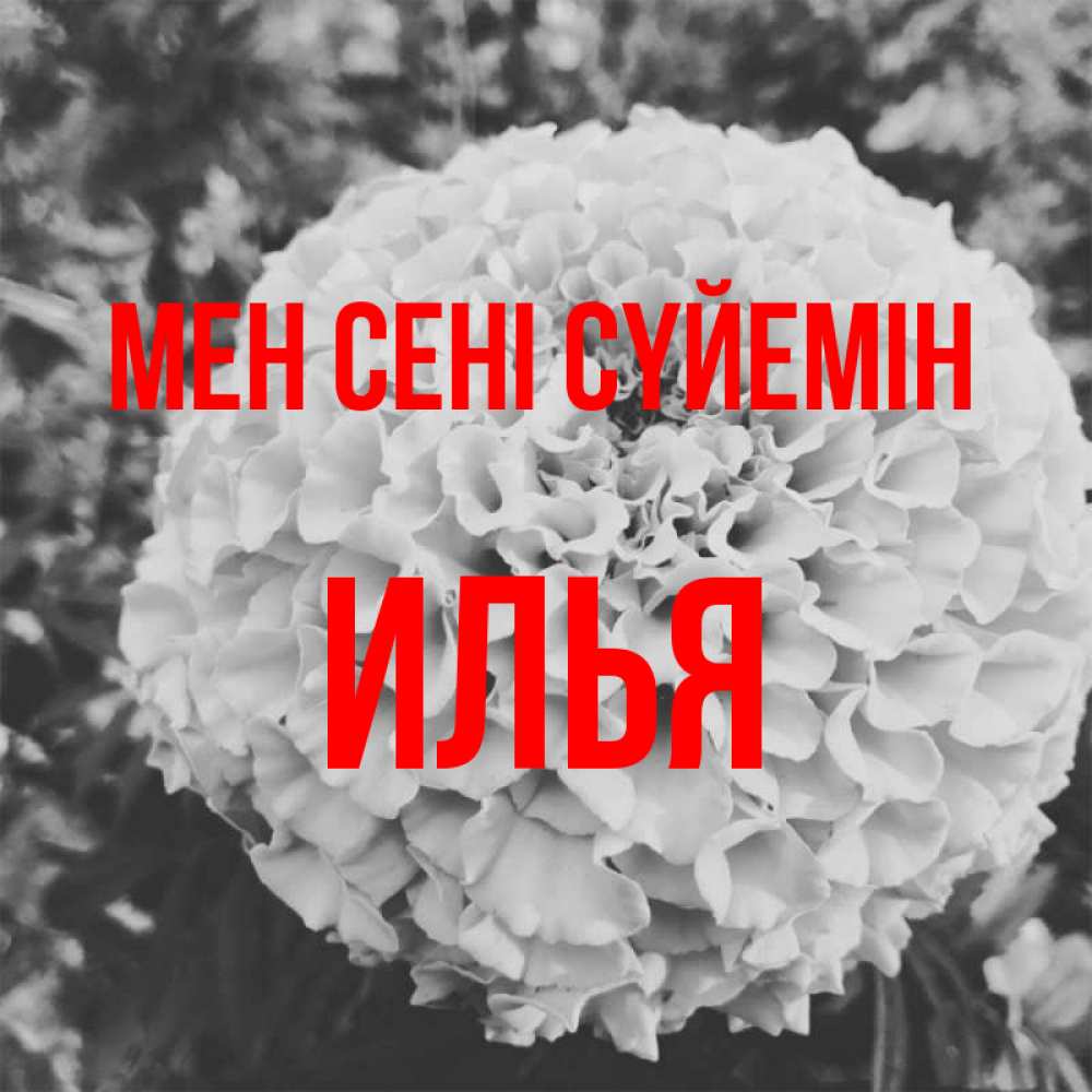 Күн сайын ашық хат с именем, Илья Мен сені сүйемін подпись Онлайн тегін жүктеп алу тілектері бар керемет карта 