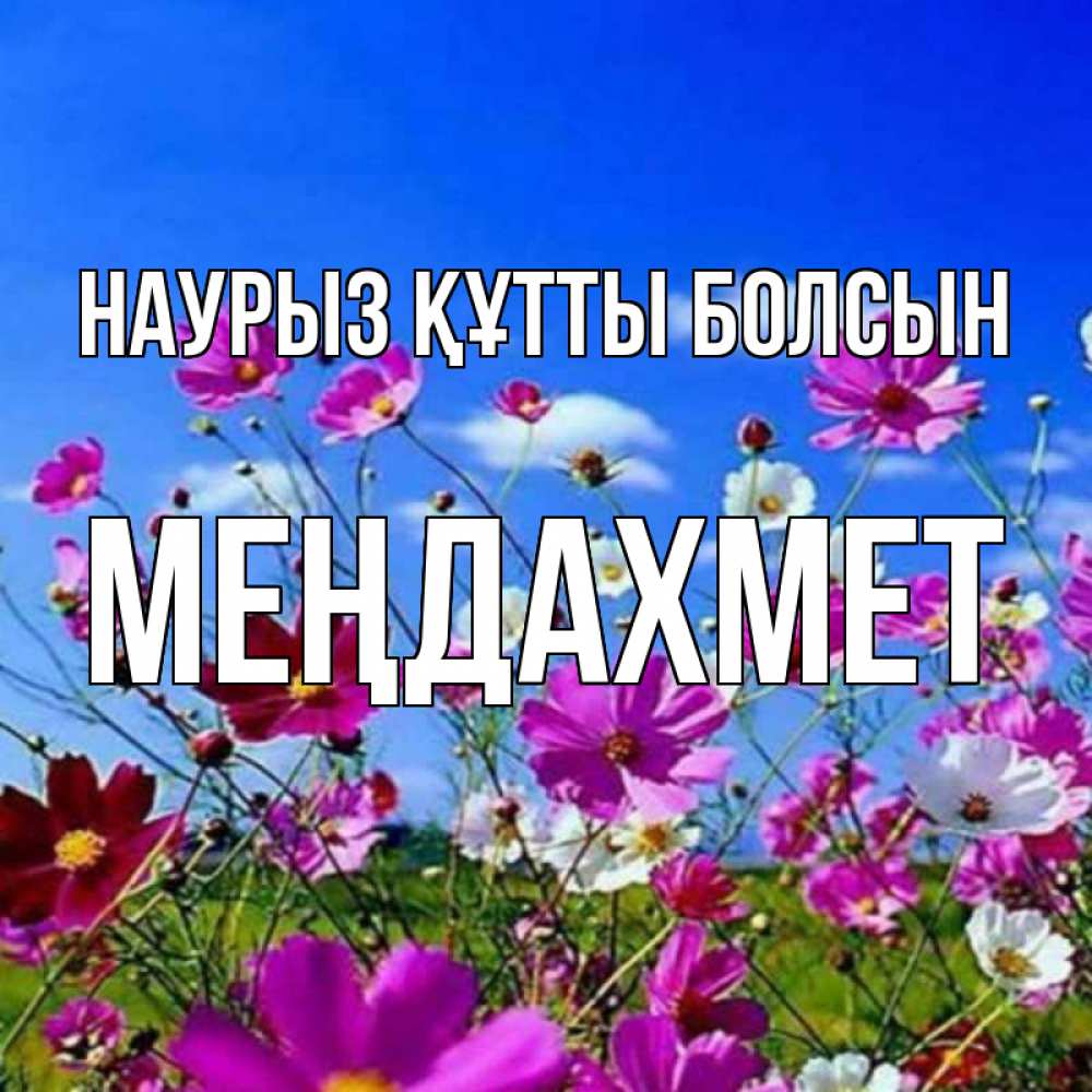Күн сайын ашық хат с именем, МЕҢДАХМЕТ Наурыз құтты болсын цветы Онлайн тегін жүктеп алу тілектері бар керемет карта 