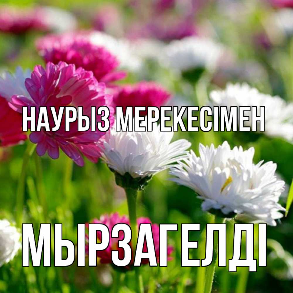 Күн сайын ашық хат с именем, Мырзагелді Наурыз мерекесімен праздник весны наурыз красота Онлайн тегін жүктеп алу тілектері бар керемет карта 