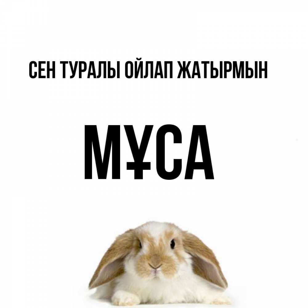 Күн сайын ашық хат с именем, МҰСА Сен туралы ойлап жатырмын подписать своими руками онлайн Онлайн тегін жүктеп алу тілектері бар керемет карта 