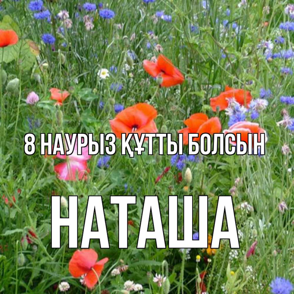 Күн сайын ашық хат с именем, Наташа 8 наурыз құтты болсын международный женский день 4 Онлайн тегін жүктеп алу тілектері бар керемет карта 