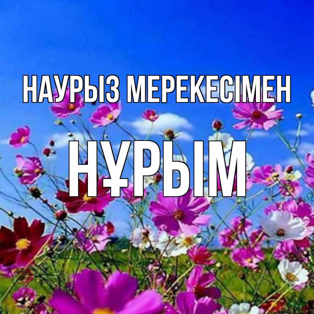 Күн сайын ашық хат с именем, Нұрым Наурыз мерекесімен цветы Онлайн тегін жүктеп алу тілектері бар керемет карта 