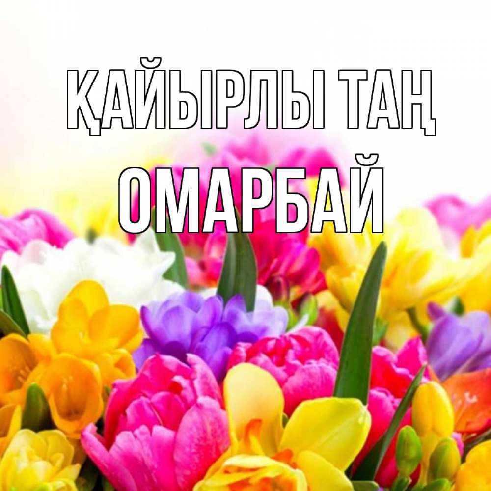 Күн сайын ашық хат с именем, ОМАРБАЙ Қайырлы таң создать открытку со свое подписью Онлайн тегін жүктеп алу тілектері бар керемет карта 