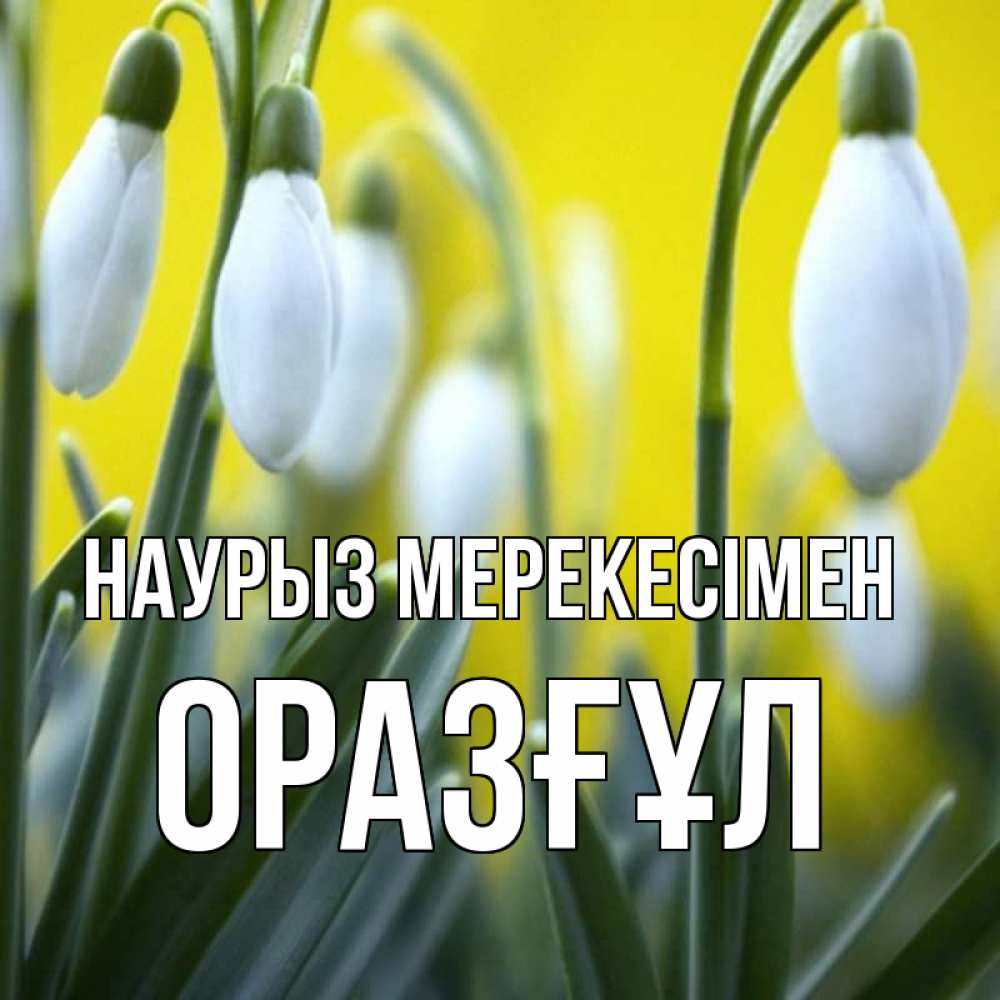 Күн сайын ашық хат с именем, ОРАЗҒҰЛ Наурыз мерекесімен весенние цветы Онлайн тегін жүктеп алу тілектері бар керемет карта 