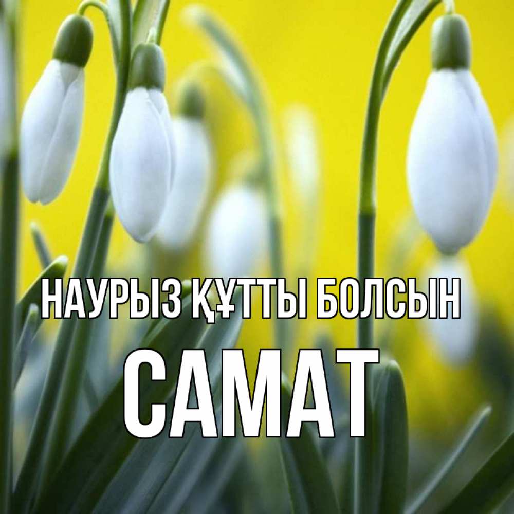 Күн сайын ашық хат с именем, САМАТ Наурыз құтты болсын весенние цветы Онлайн тегін жүктеп алу тілектері бар керемет карта 