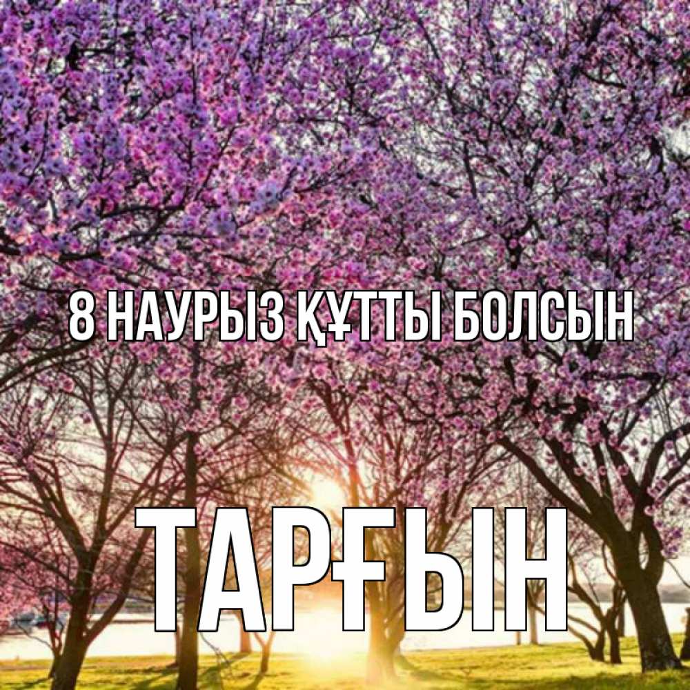 Күн сайын ашық хат с именем, ТАРҒЫН 8 наурыз құтты болсын международный женский день Онлайн тегін жүктеп алу тілектері бар керемет карта 