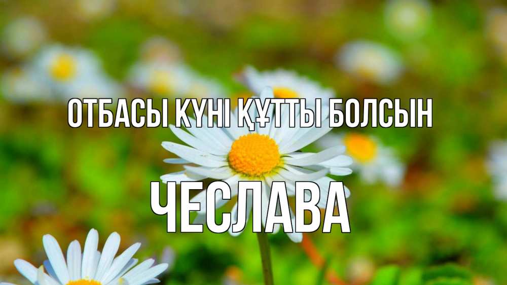 Күн сайын ашық хат с именем, Чеслава отбасы күні құтты болсын с днем семьи Онлайн тегін жүктеп алу тілектері бар керемет карта 