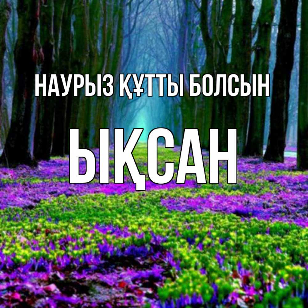 Күн сайын ашық хат с именем, ЫҚСАН Наурыз құтты болсын фиолетовые цветы в лесу 1 Онлайн тегін жүктеп алу тілектері бар керемет карта 