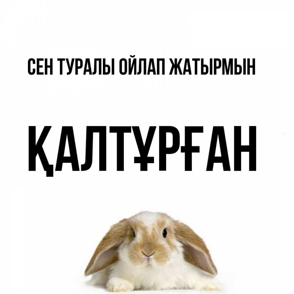 Күн сайын ашық хат с именем, ҚАЛТҰРҒАН Сен туралы ойлап жатырмын подписать своими руками онлайн Онлайн тегін жүктеп алу тілектері бар керемет карта 