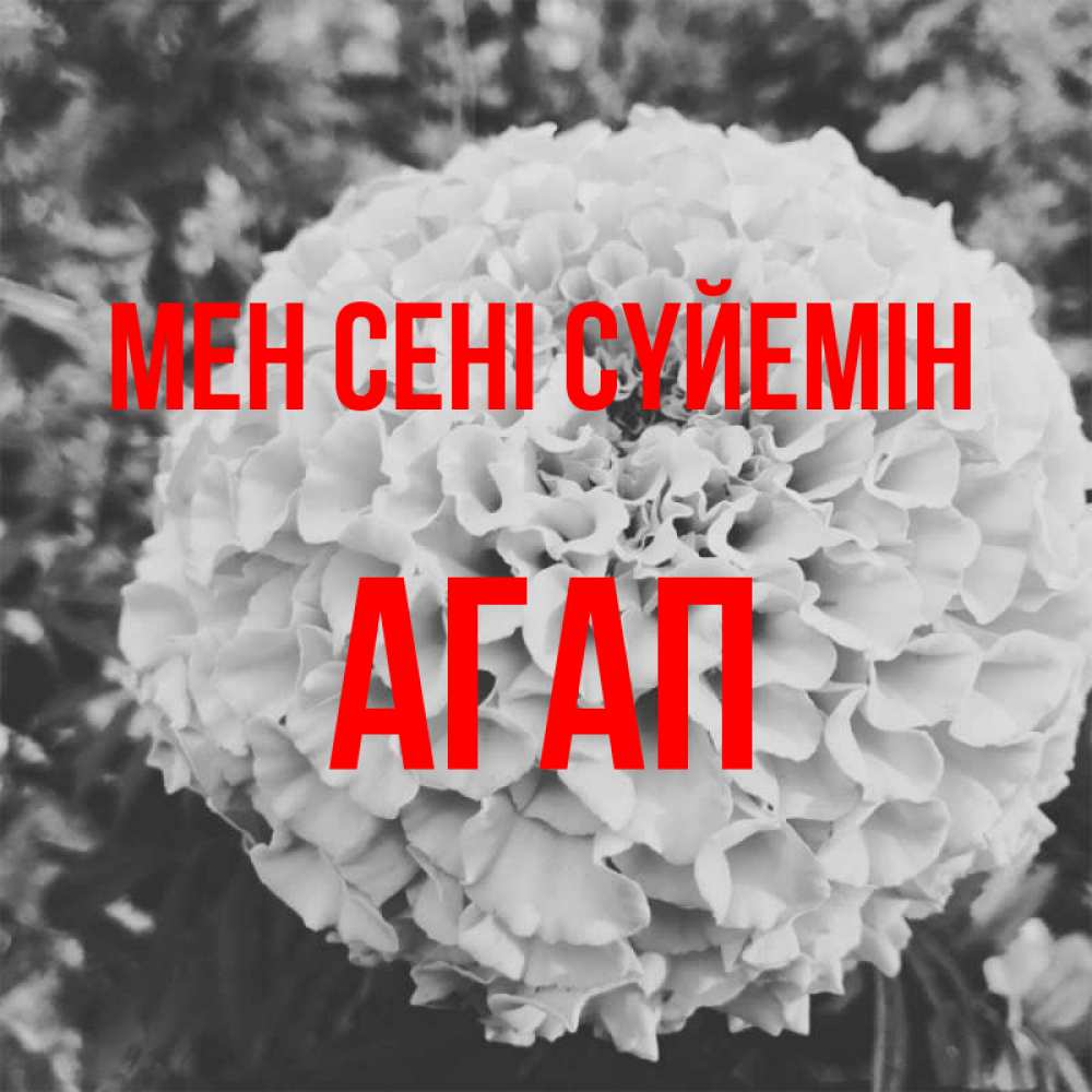 Күн сайын ашық хат с именем, Агап Мен сені сүйемін подпись Онлайн тегін жүктеп алу тілектері бар керемет карта 