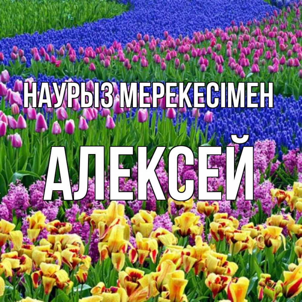 Күн сайын ашық хат с именем, Алексей Наурыз мерекесімен цветы Онлайн тегін жүктеп алу тілектері бар керемет карта 