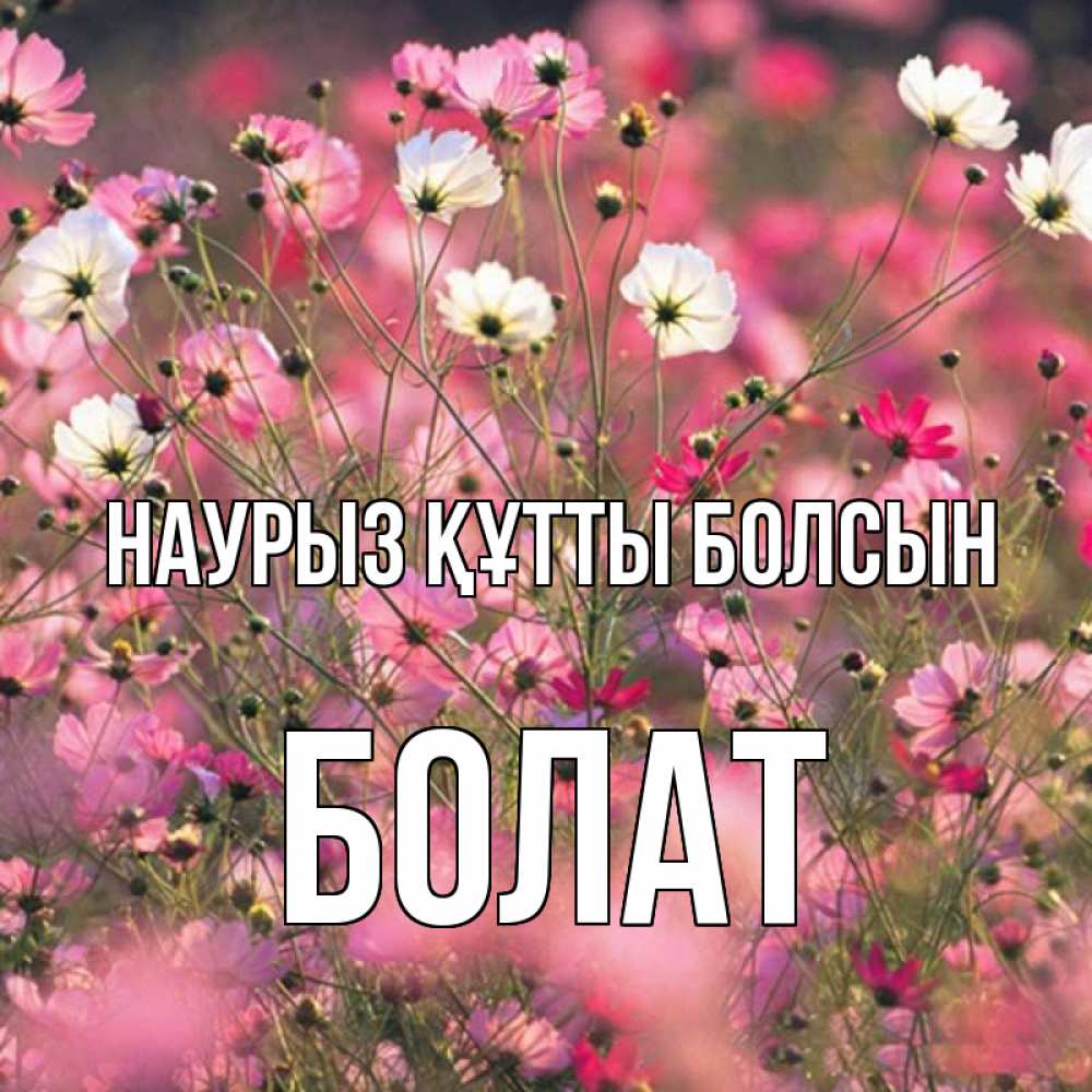 Күн сайын ашық хат с именем, Болат Наурыз құтты болсын красиво 1 Онлайн тегін жүктеп алу тілектері бар керемет карта 