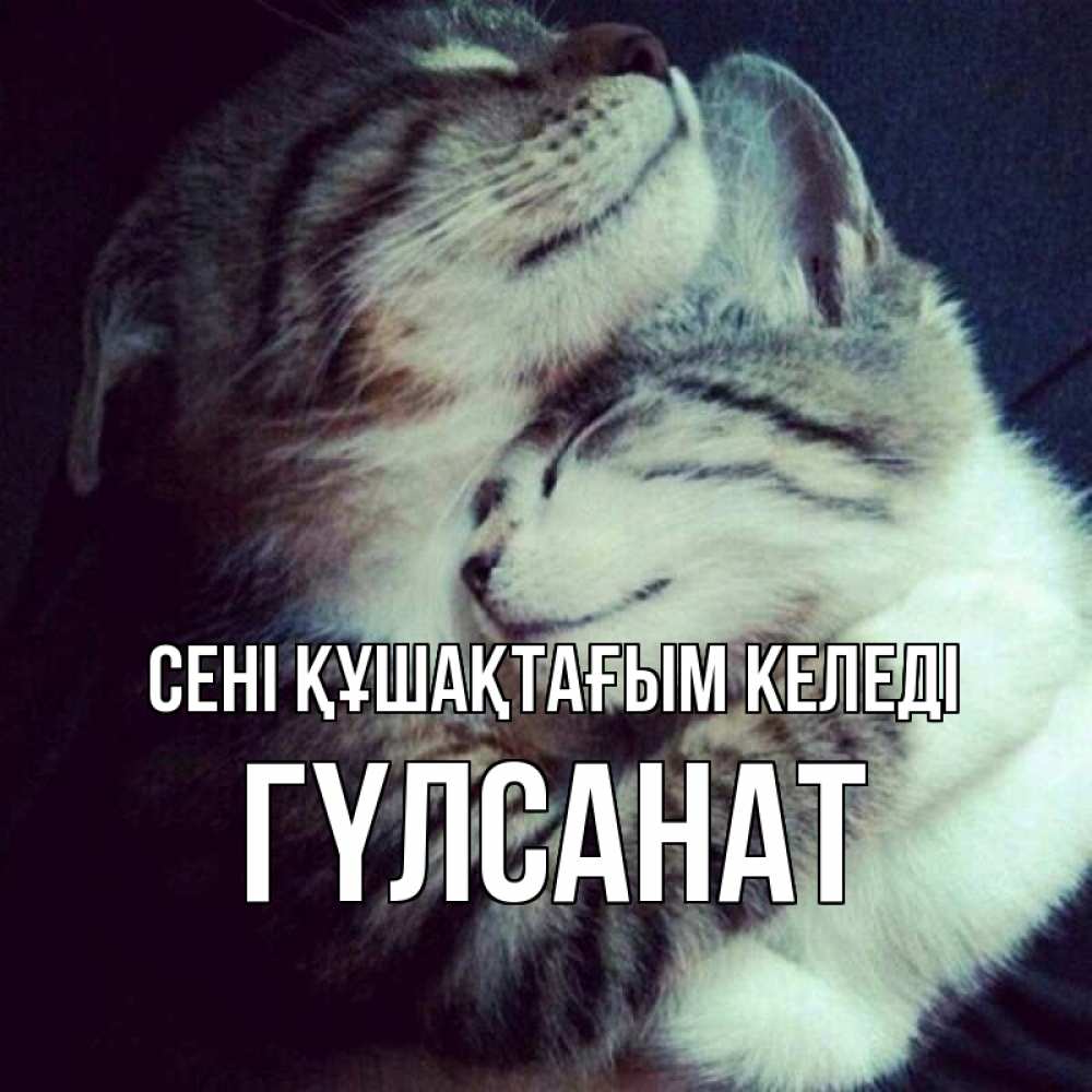 Күн сайын ашық хат с именем, ГҮЛСАНАТ сені құшақтағым келеді полосатики Онлайн тегін жүктеп алу тілектері бар керемет карта 