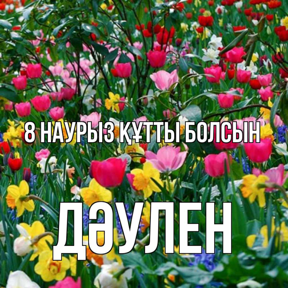 Күн сайын ашық хат с именем, Дәулен 8 наурыз құтты болсын с международным женским днем поздравления для женщины Онлайн тегін жүктеп алу тілектері бар керемет карта 