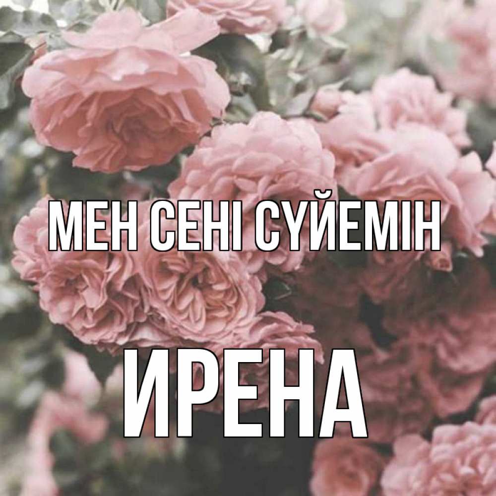 Күн сайын ашық хат с именем, Ирена Мен сені сүйемін розы 3 Онлайн тегін жүктеп алу тілектері бар керемет карта 
