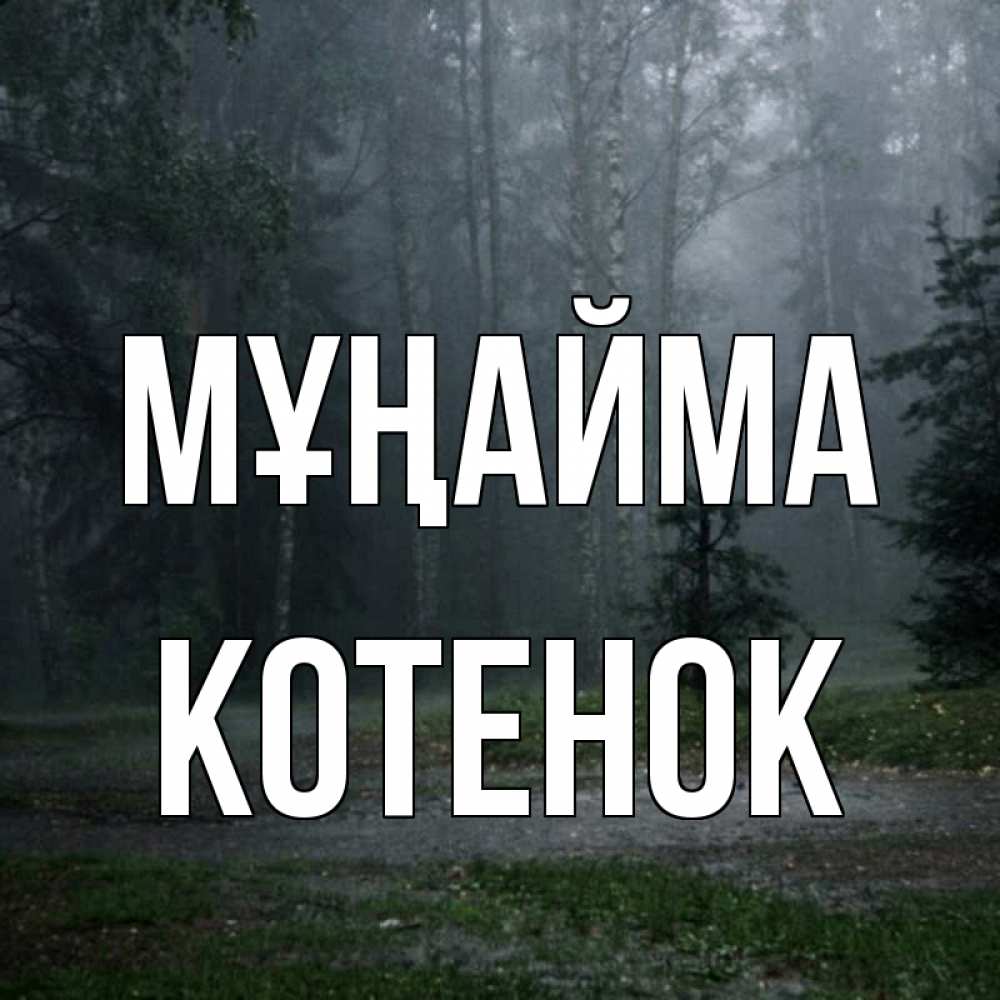 Күн сайын ашық хат с именем, Котенок Мұңайма осень Онлайн тегін жүктеп алу тілектері бар керемет карта 