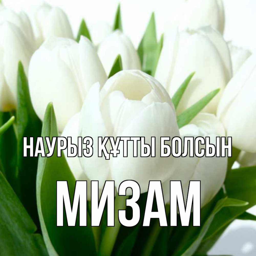 Күн сайын ашық хат с именем, МИЗАМ Наурыз құтты болсын цветы Онлайн тегін жүктеп алу тілектері бар керемет карта 