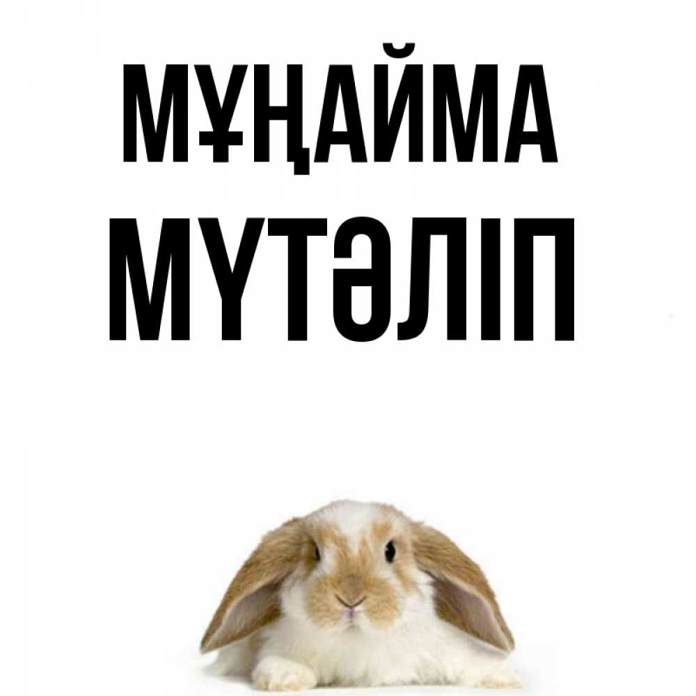 Күн сайын ашық хат с именем, МҮТӘЛІП Мұңайма коричнево белый заяц с большими ушками Онлайн тегін жүктеп алу тілектері бар керемет карта 
