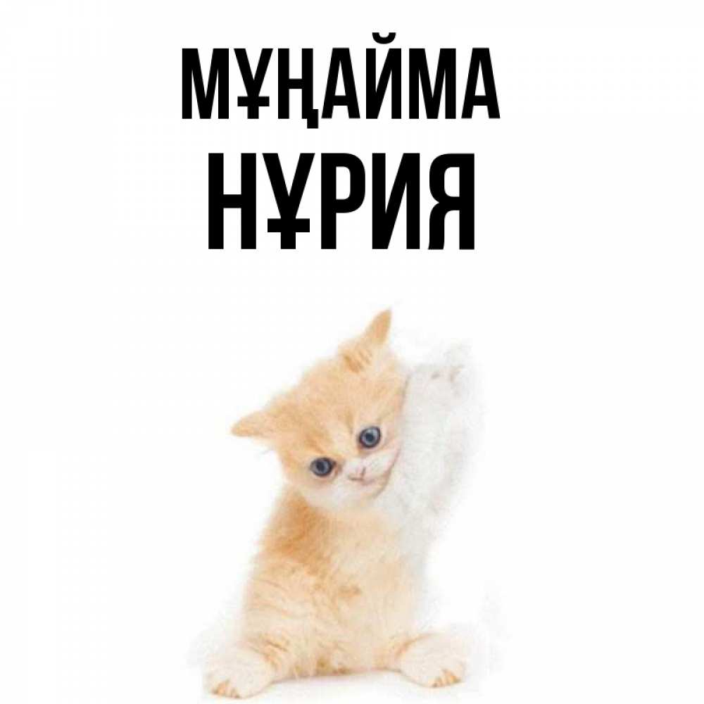 Күн сайын ашық хат с именем, НҰРИЯ Мұңайма просящий кот Онлайн тегін жүктеп алу тілектері бар керемет карта 