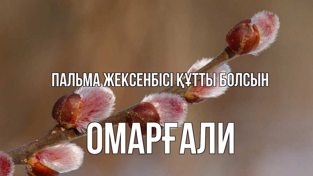 Күн сайын ашық хат с именем, ОМАРҒАЛИ Пальма жексенбісі құтты болсын верба Онлайн тегін жүктеп алу тілектері бар керемет карта 