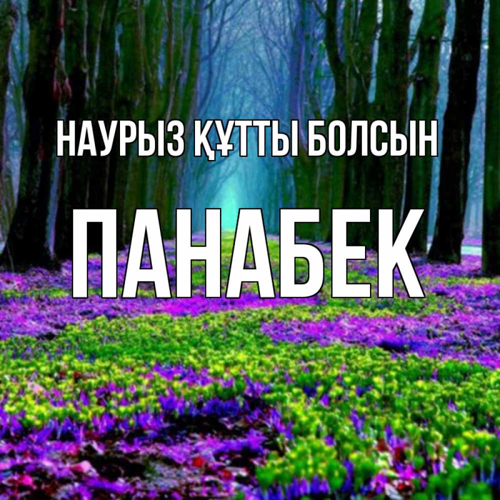 Күн сайын ашық хат с именем, ПАНАБЕК Наурыз құтты болсын фиолетовые цветы в лесу 1 Онлайн тегін жүктеп алу тілектері бар керемет карта 