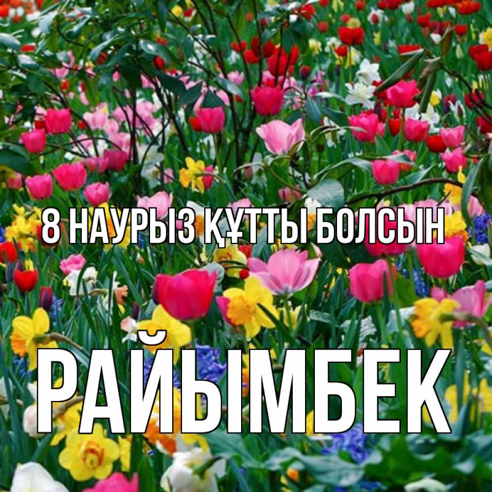 Күн сайын ашық хат с именем, РАЙЫМБЕК 8 наурыз құтты болсын с международным женским днем поздравления для женщины Онлайн тегін жүктеп алу тілектері бар керемет карта 