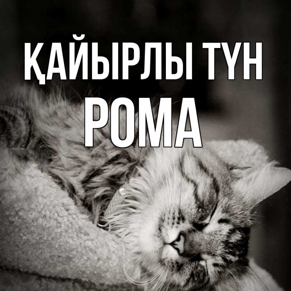 Күн сайын ашық хат с именем, Рома Қайырлы түн котярик пушистый Онлайн тегін жүктеп алу тілектері бар керемет карта 