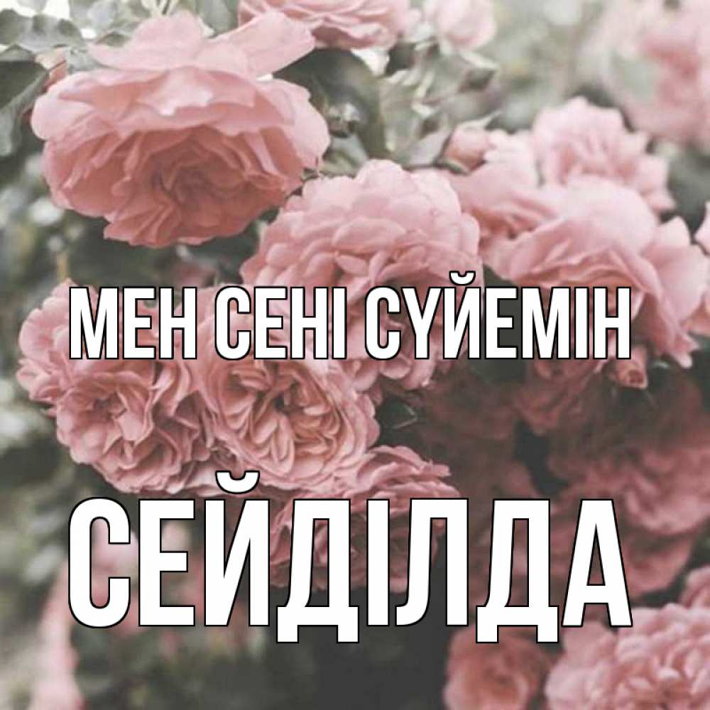 Күн сайын ашық хат с именем, СЕЙДІЛДА Мен сені сүйемін розы 3 Онлайн тегін жүктеп алу тілектері бар керемет карта 