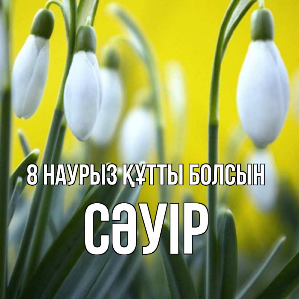 Күн сайын ашық хат с именем, СӘУІР 8 наурыз құтты болсын весенние цветы Онлайн тегін жүктеп алу тілектері бар керемет карта 