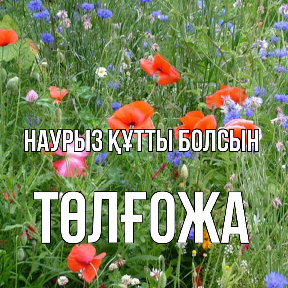 Күн сайын ашық хат с именем, ТӨЛҒОЖА Наурыз құтты болсын наурыз  4 Онлайн тегін жүктеп алу тілектері бар керемет карта 