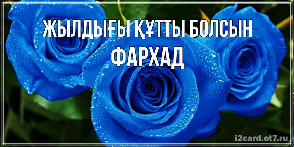 Күн сайын ашық хат с именем, Фархад Жылдығы құтты болсын розы с синим цветом Онлайн тегін жүктеп алу тілектері бар керемет карта 